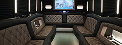 Tempe limousine interior